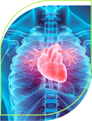 Cardiology and Respiratory Medicine