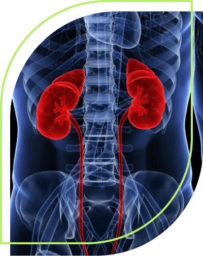 Renal Medicine