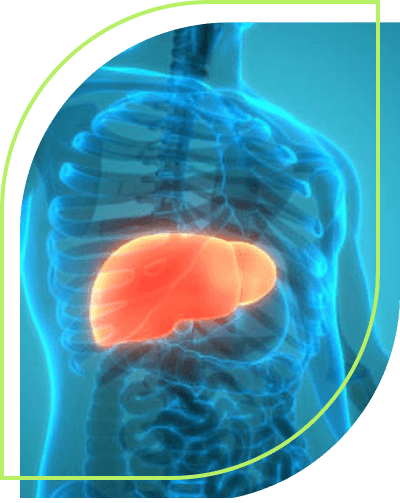 Gastroenterology and Hepatology